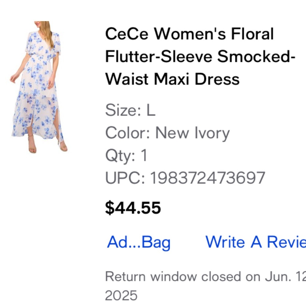 CeCe Floral Maxi Dress in Ivory and Blue